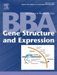 Go to journal home page - Biochimica et Biophysica Acta (BBA) - Gene Structure and Expression